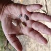 Stone artefacts from rock shelter Wiradjuri country